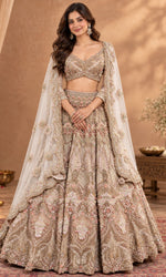 Champagne Blush Embroidered Bridal Lehenga