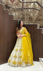 Yellow and Gold Embellished Lehenga