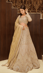 Gold Embriodered Lehenga With Full Sleeves Blouse