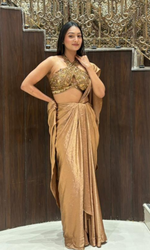 Gold Shimmer Saree With Embellished blouse
