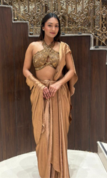 Gold Shimmer Saree With Embellished blouse