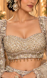 Silver Champagne Floral Embroidered Lehenga