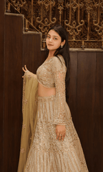 Gold Embriodered Lehenga With Full Sleeves Blouse
