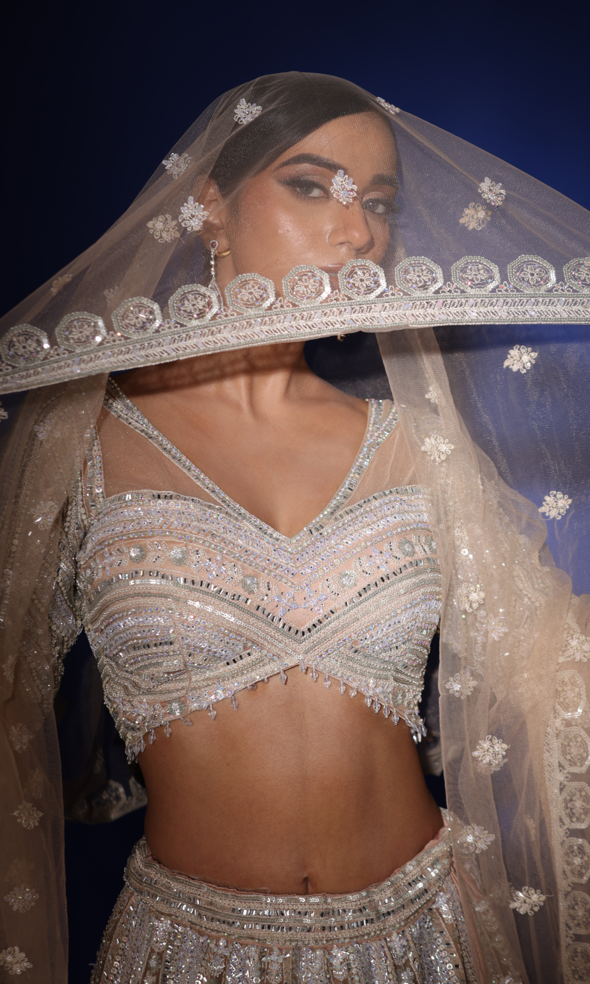 Beige Semi Georgette Handwork Lehenga With Stitched Blouse And Dupatta