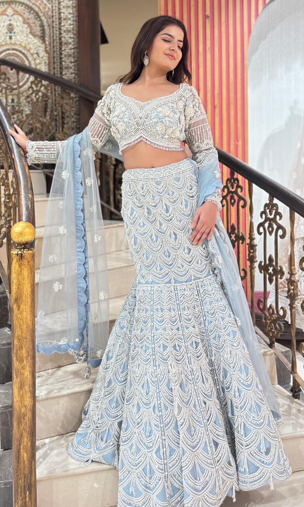 Blue Net Ethnic Motifs Lehenga set