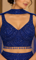 Blue Sequence Fish Cut Lehenga