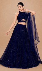 Midnight Stardust Lehenga Set